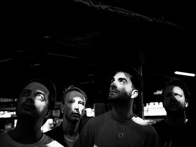 image of Fifteen Questions Interview with GOOSE