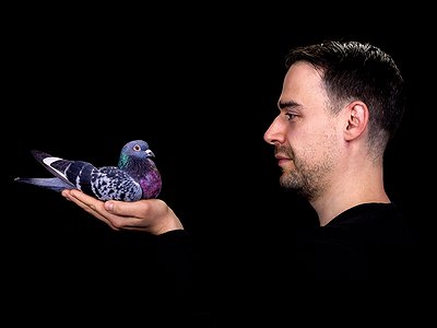 image of Stimming Shares his Creative Process