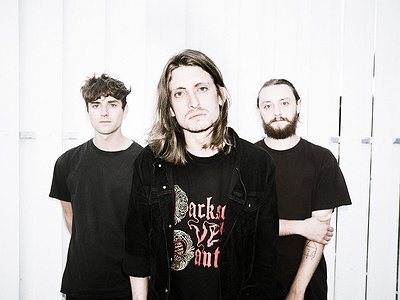 image of Fifteen Questions Interview with Poisonous Birds