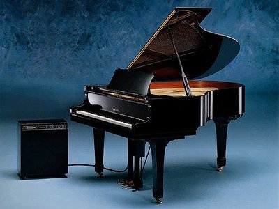 image of Tools of Creation: Disklavier
