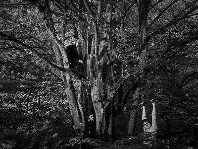 image of Fifteen Questions Interview with Trupa Trupa
