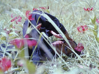 image of Nyokabi Kariũki talks Sound