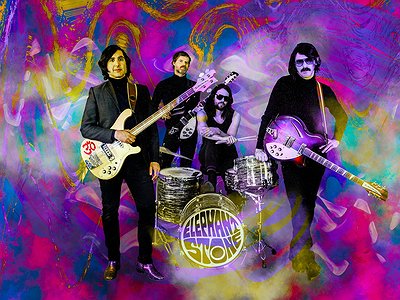image of Fifteen Questions Interview with Elephant Stone