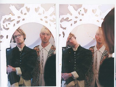 image of Fifteen Questions Interview with Infant Finches 