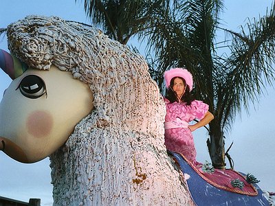 image of Maple Glider Shares her Creative Process 