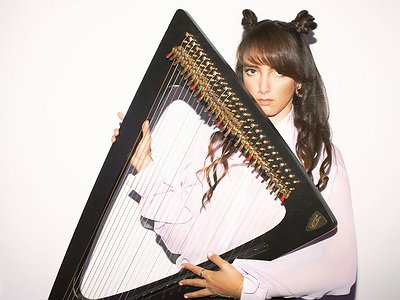 image of Tools of Creation: The Harp