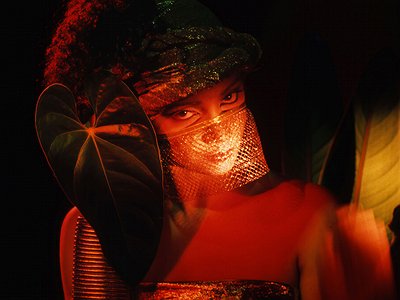 image of Fifteen Questions Interview with Asha Puthli