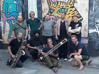 image of Fifteen Questions Interview with Alpacas Collective