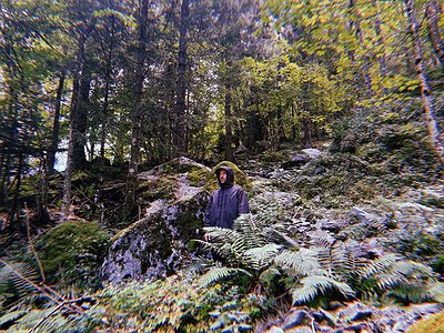 image of Ex Colorado about Kraut & Krautrock