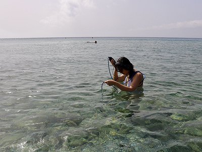 image of Part 1